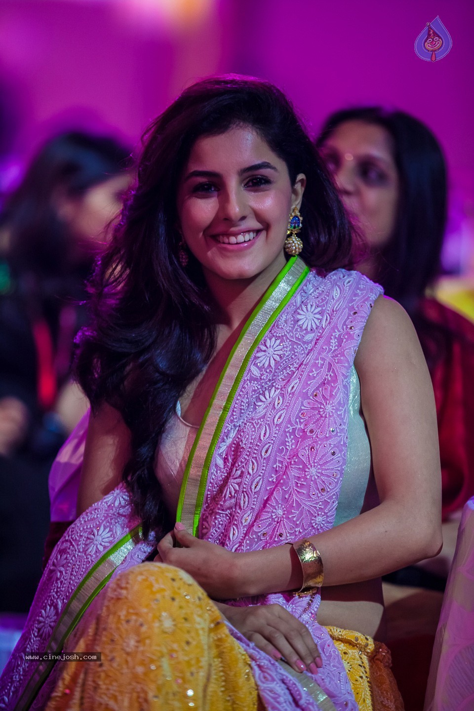 Stars at SIIMA 2013 Awards 02 - 100 / 204 photos