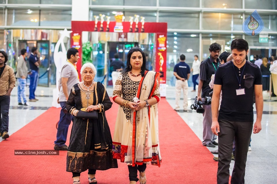 Stars at SIIMA 2013 Awards 01 - 35 / 100 photos