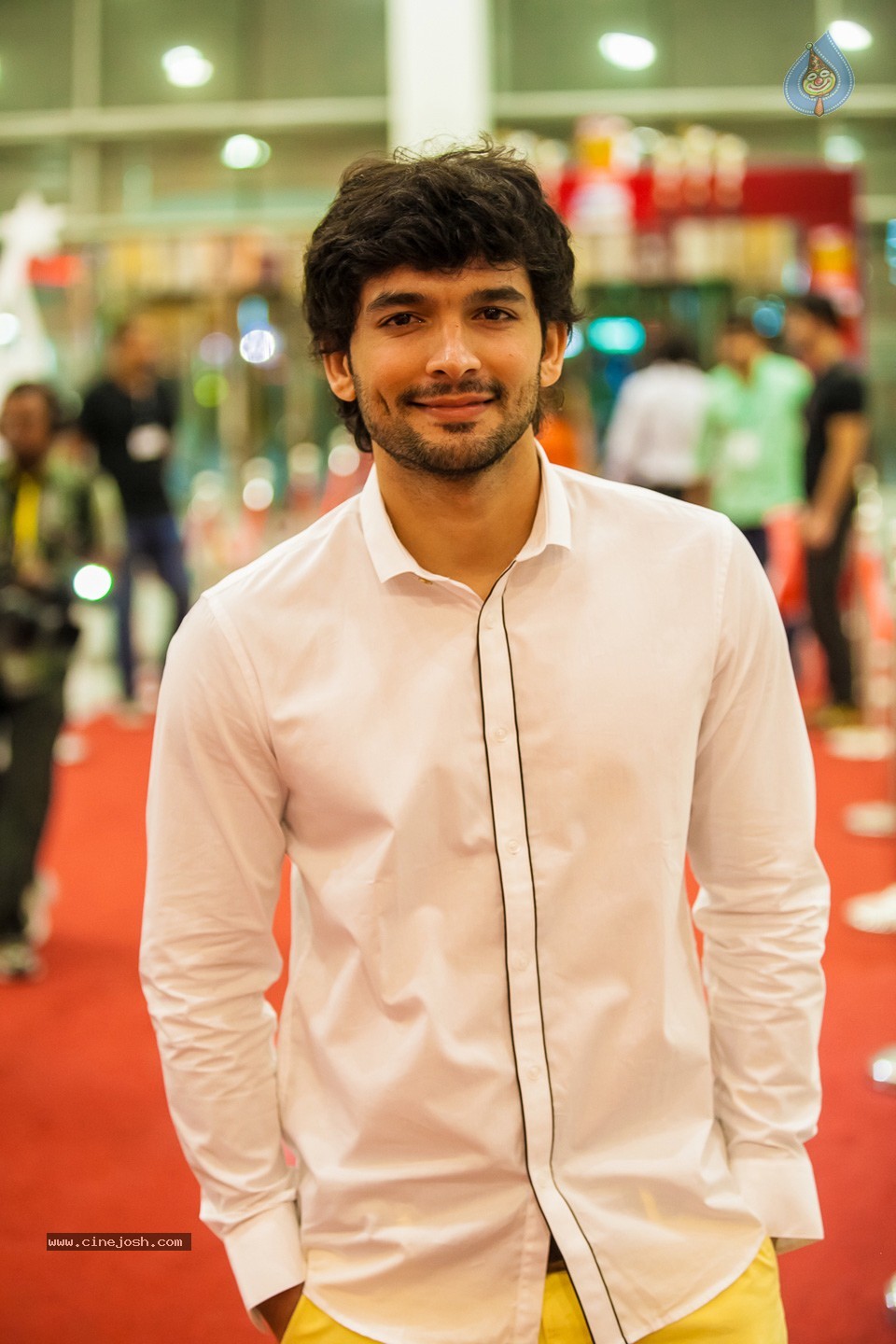 Stars at SIIMA 2013 Awards 01 - 39 / 100 photos