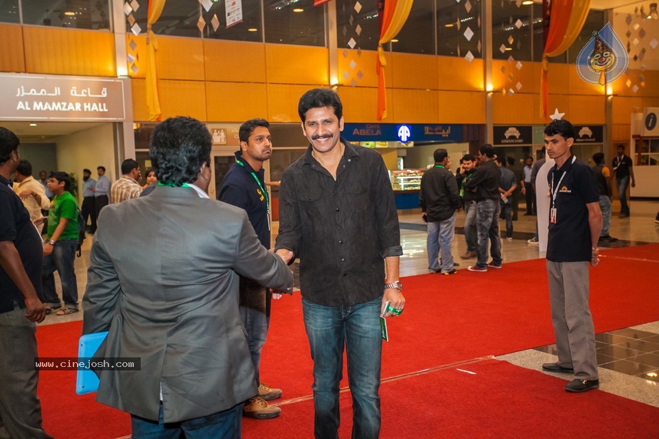 Stars at SIIMA 2013 Awards 01 - 44 / 100 photos
