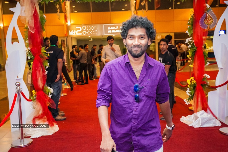 Stars at SIIMA 2013 Awards 01 - 50 / 100 photos