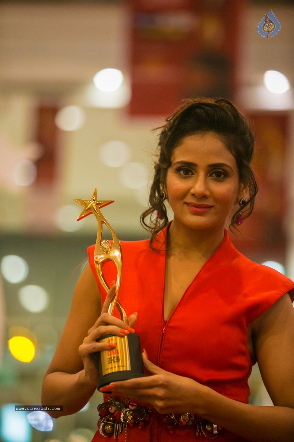 Stars at SIIMA 2013 Awards 01 - 54 / 100 photos