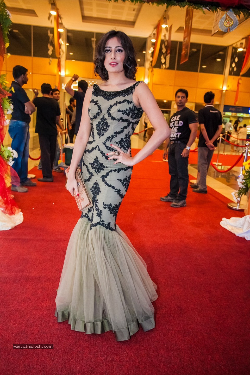 Stars at SIIMA 2013 Awards 01 - 57 / 100 photos