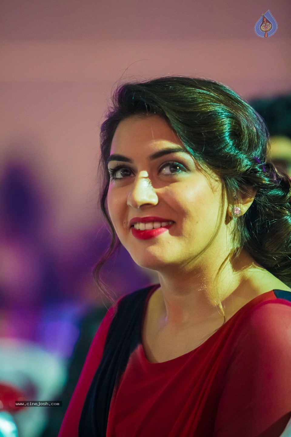 Stars at SIIMA 2013 Awards 01 - 75 / 100 photos