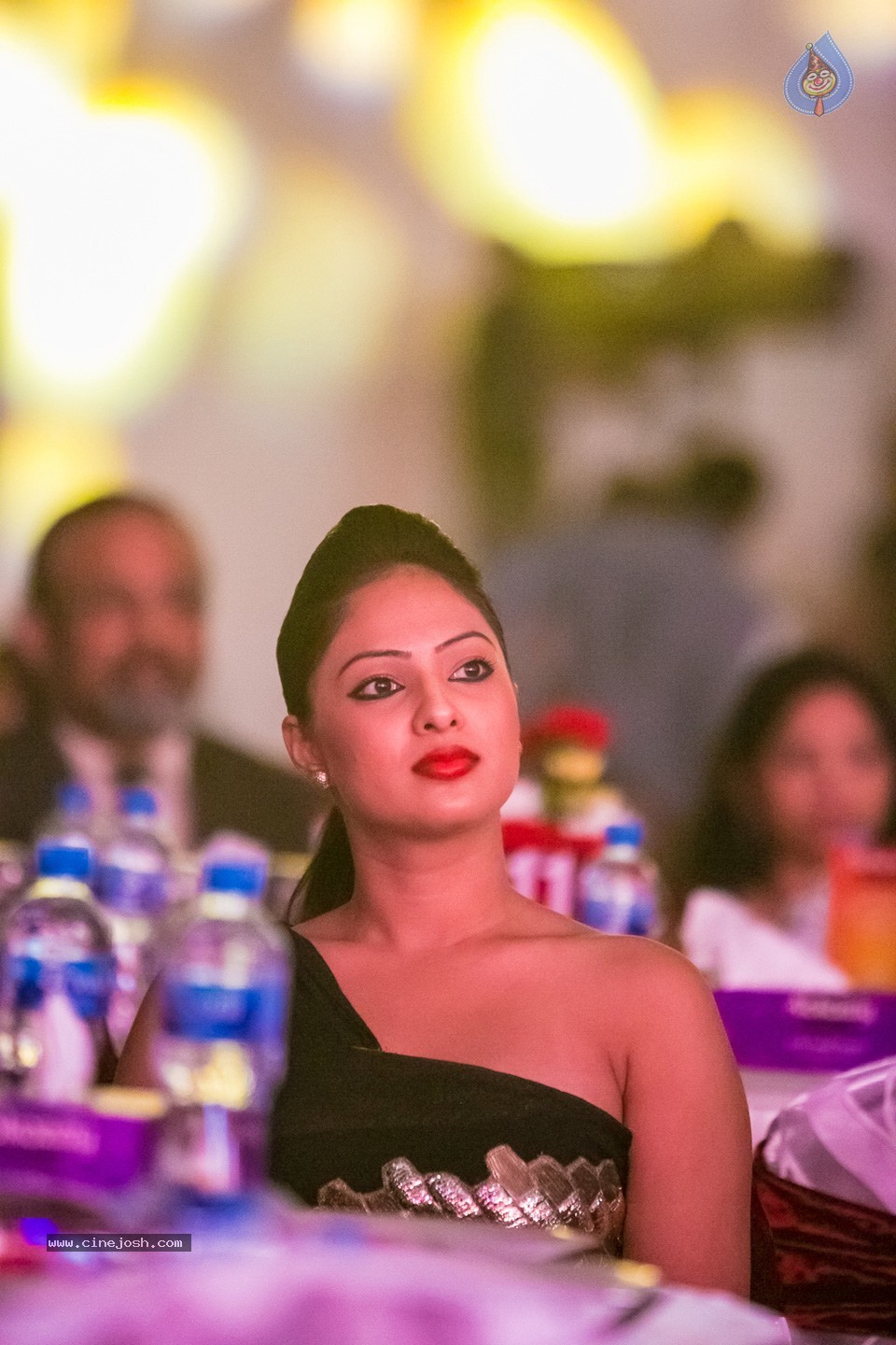 Stars at SIIMA 2013 Awards 01 - 94 / 100 photos