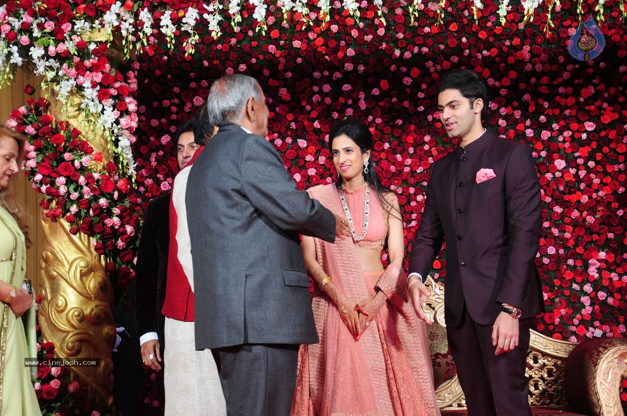 Subbarami Reddy Grand Son Wedding Reception at Delhi 01 - 14 / 246 photos