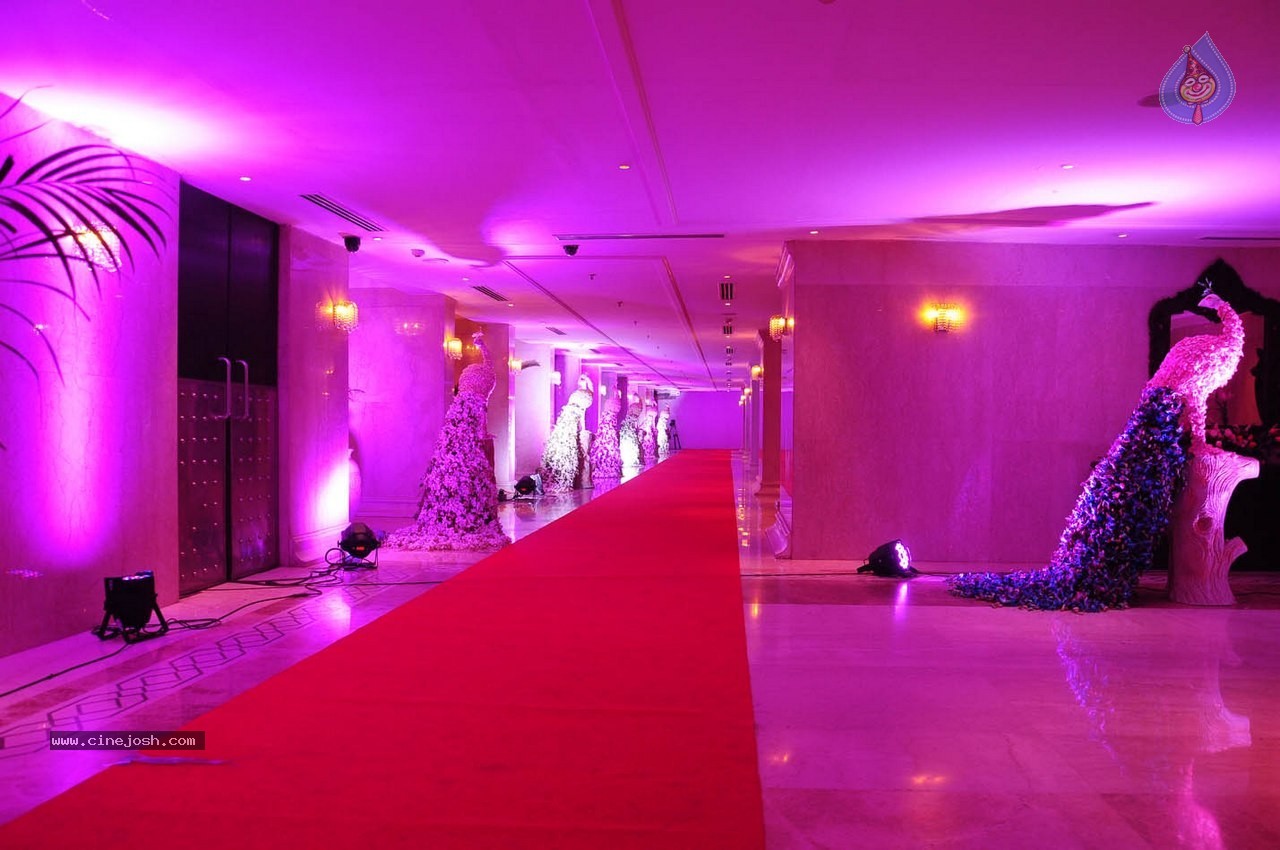 Subbarami Reddy Grand Son Wedding Reception at Delhi 01 - 26 / 246 photos