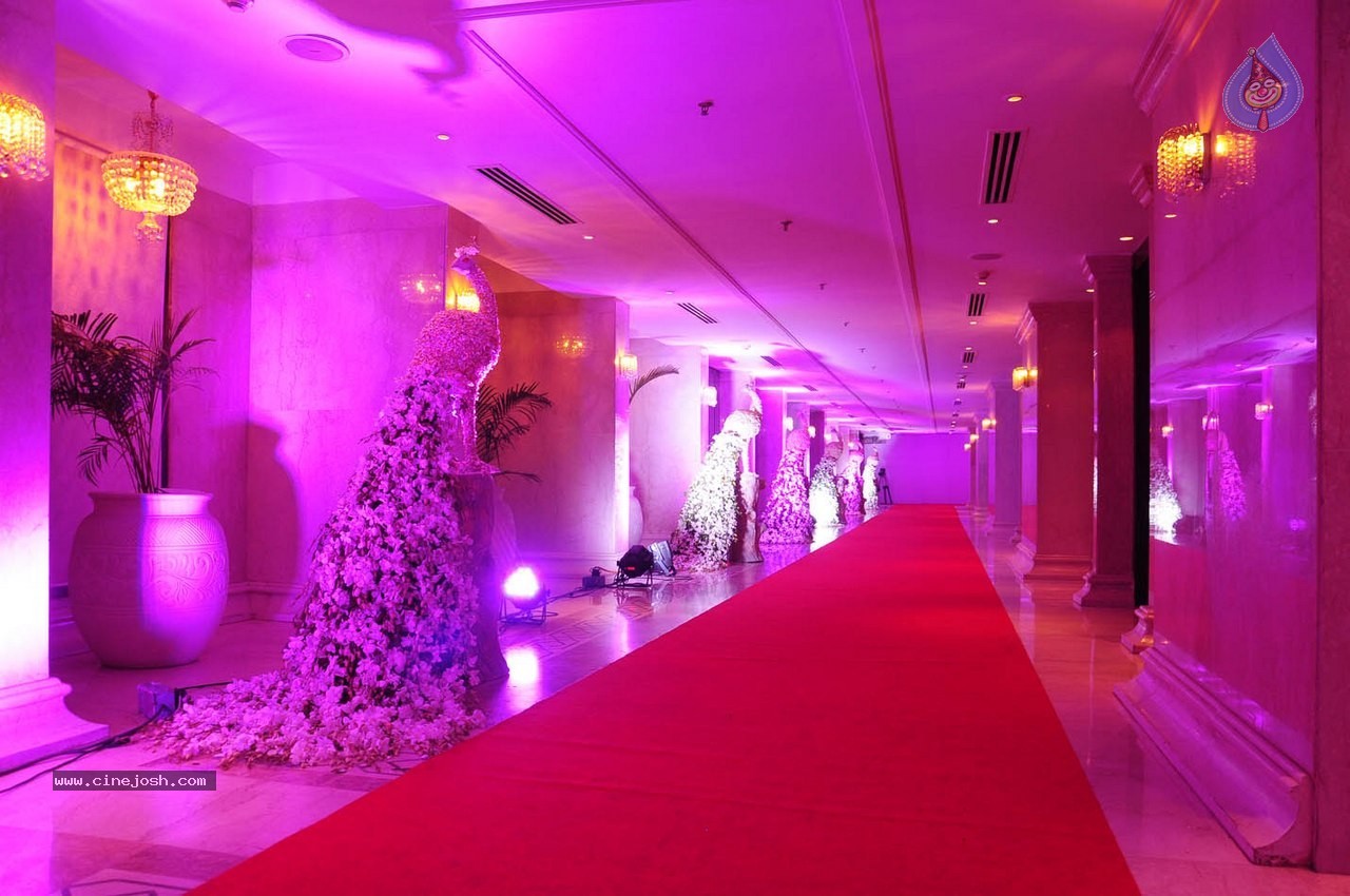 Subbarami Reddy Grand Son Wedding Reception at Delhi 01 - 89 / 246 photos