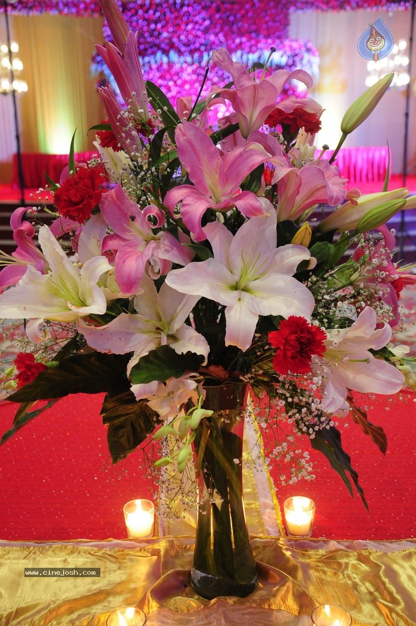 Subbarami Reddy Grand Son Wedding Reception at Delhi 01 - 171 / 246 photos