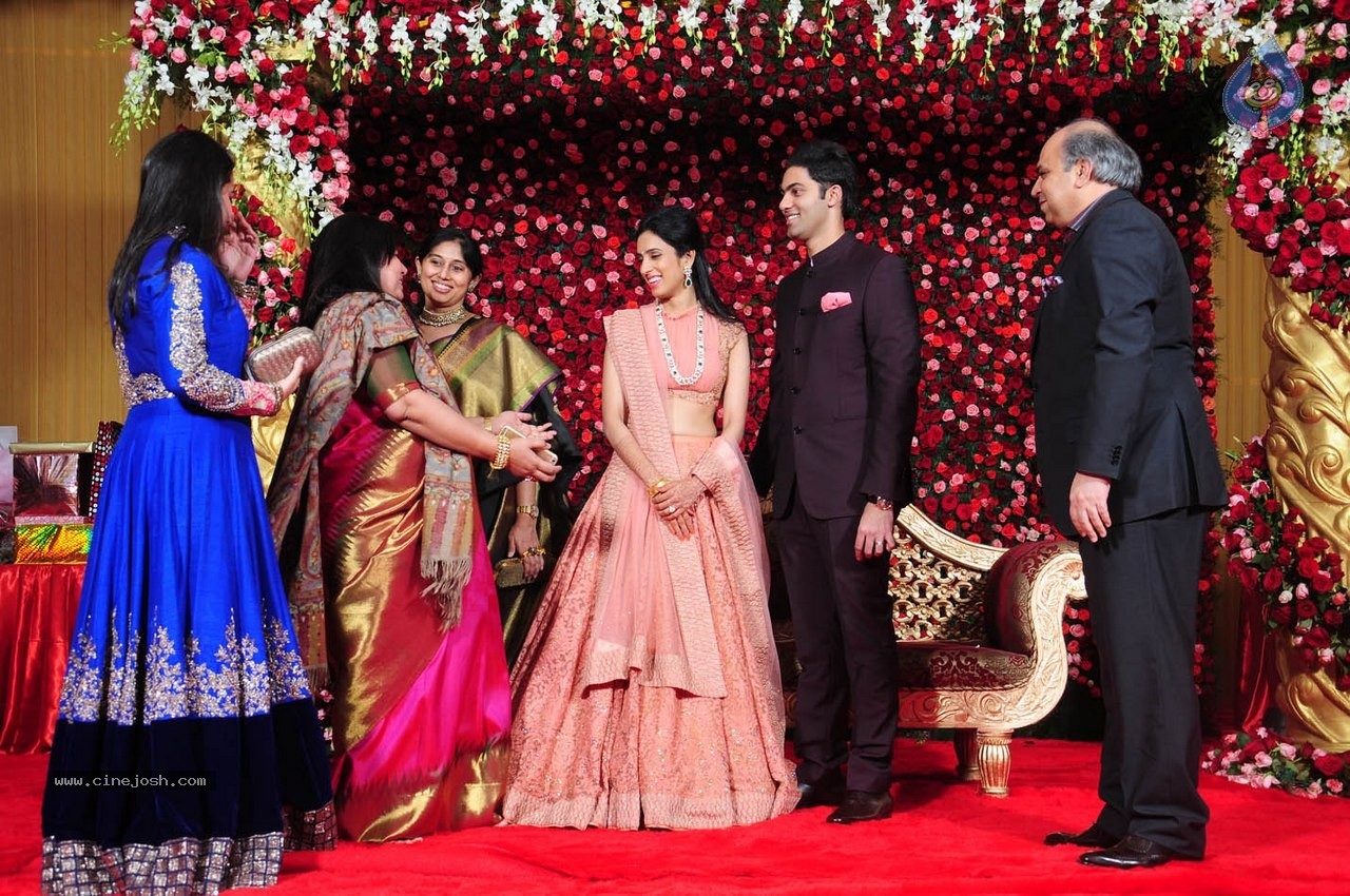 Subbarami Reddy Grand Son Wedding Reception at Delhi 02 - 14 / 246 photos
