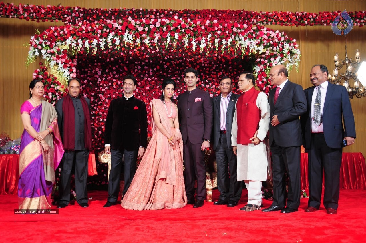 Subbarami Reddy Grand Son Wedding Reception at Delhi 02 - 217 / 246 photos