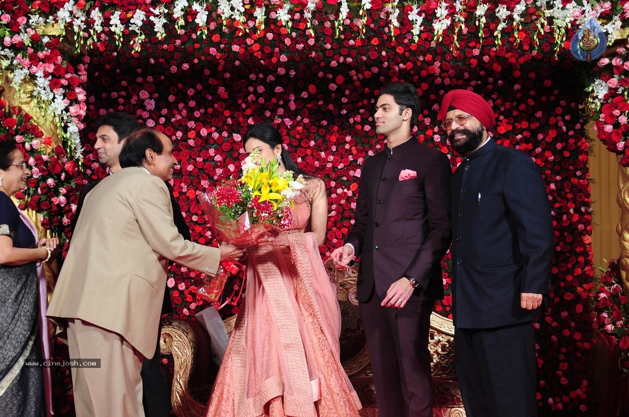 Subbarami Reddy Grand Son Wedding Reception at Delhi 02 - 241 / 246 photos