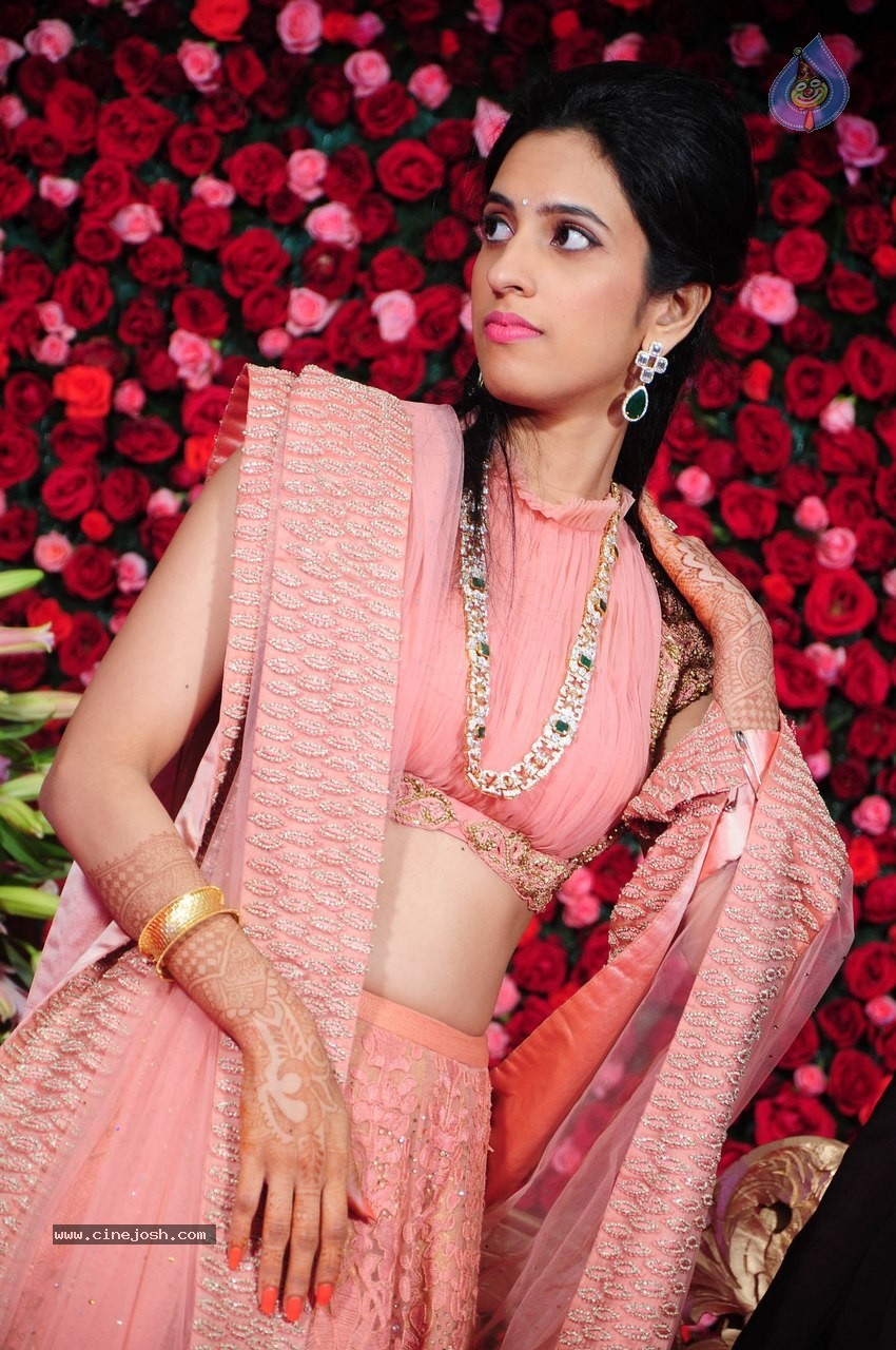 Subbarami Reddy Grand Son Wedding Reception at Delhi 02 - 242 / 246 photos