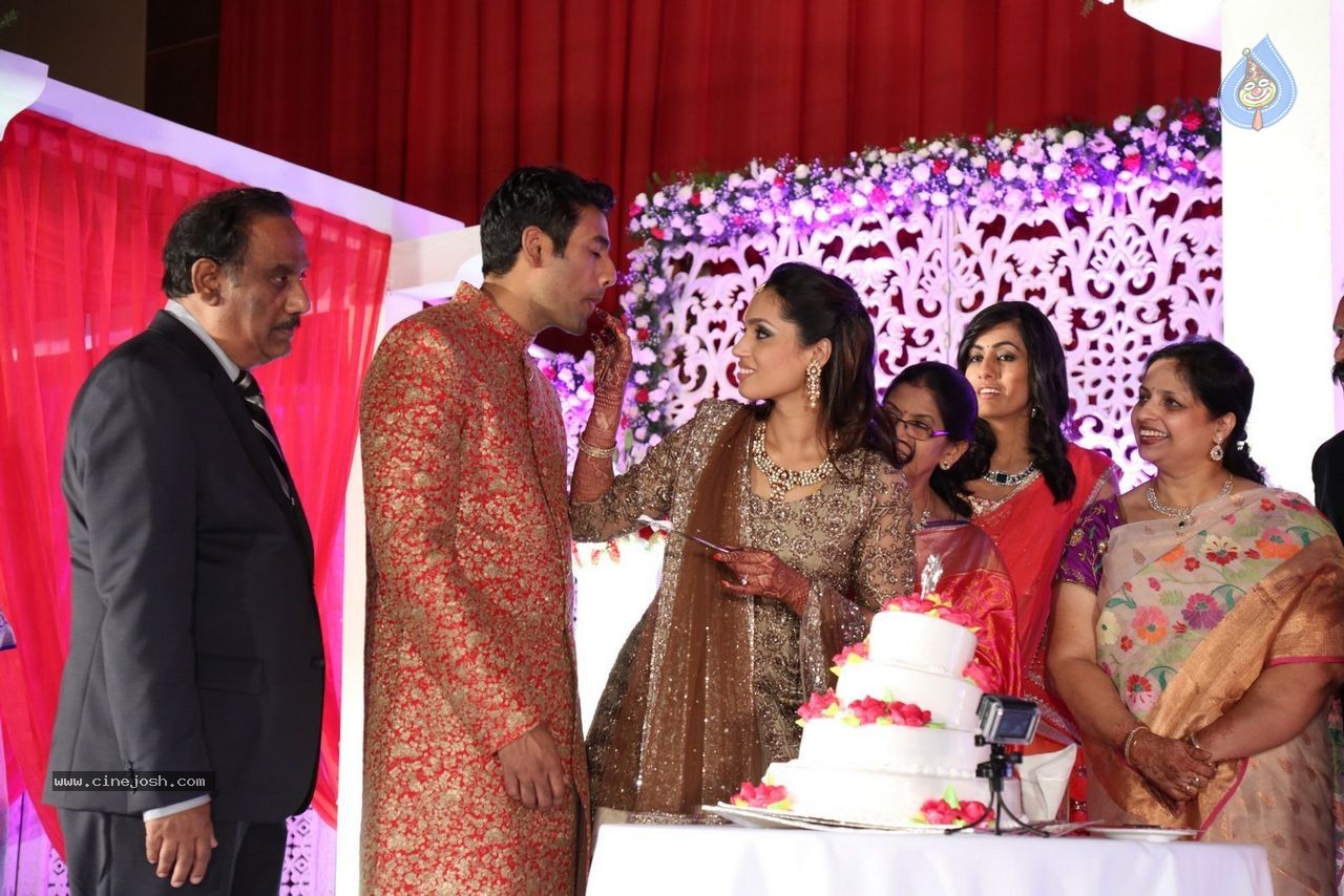 Sunil and Leela Wedding Reception - 2 / 96 photos