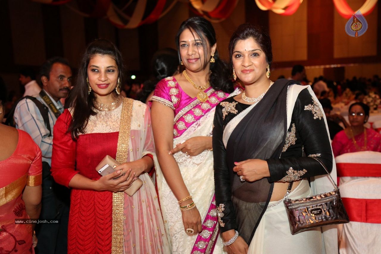 Sunil and Leela Wedding Reception - 11 / 96 photos