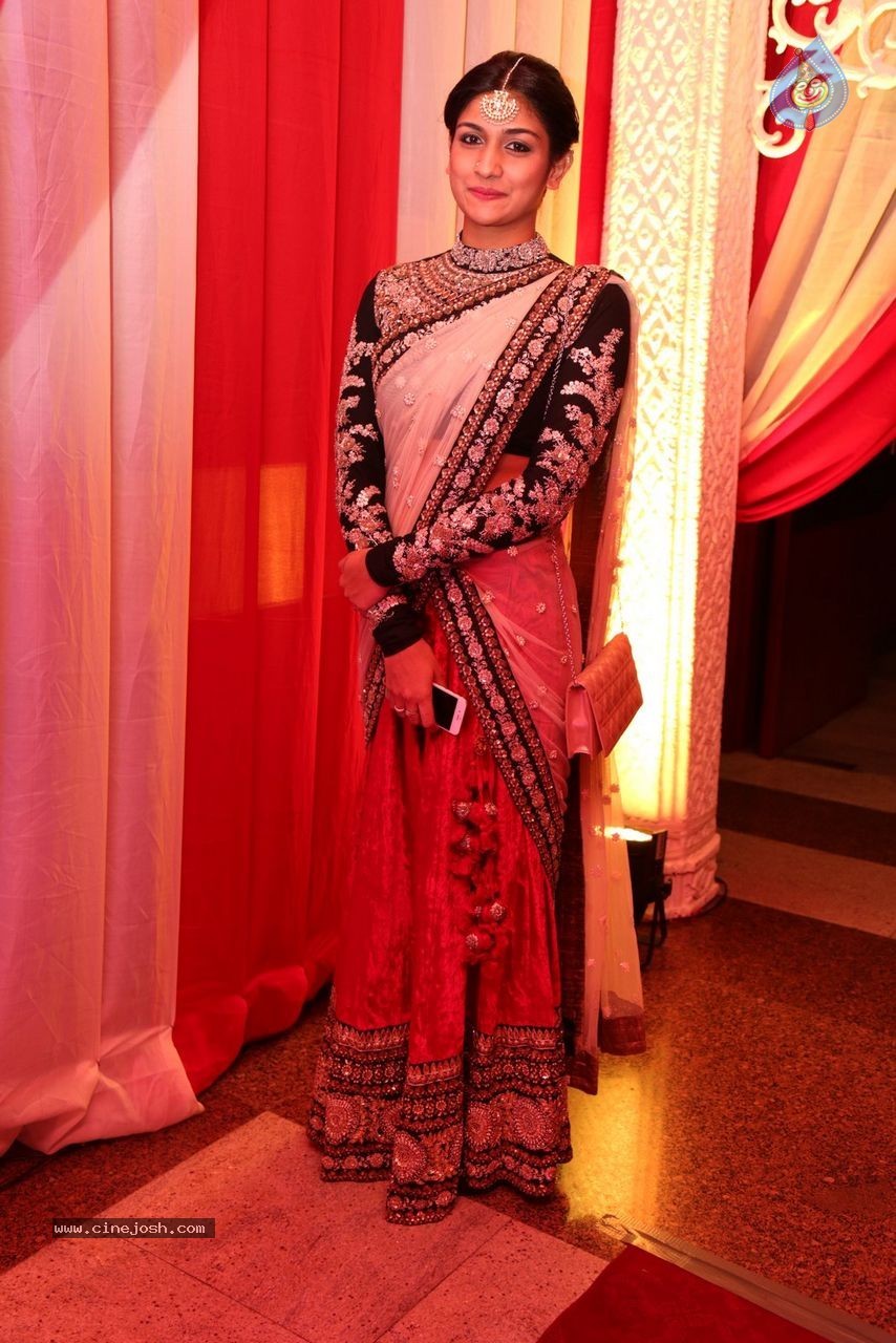 Sunil and Leela Wedding Reception - 56 / 96 photos