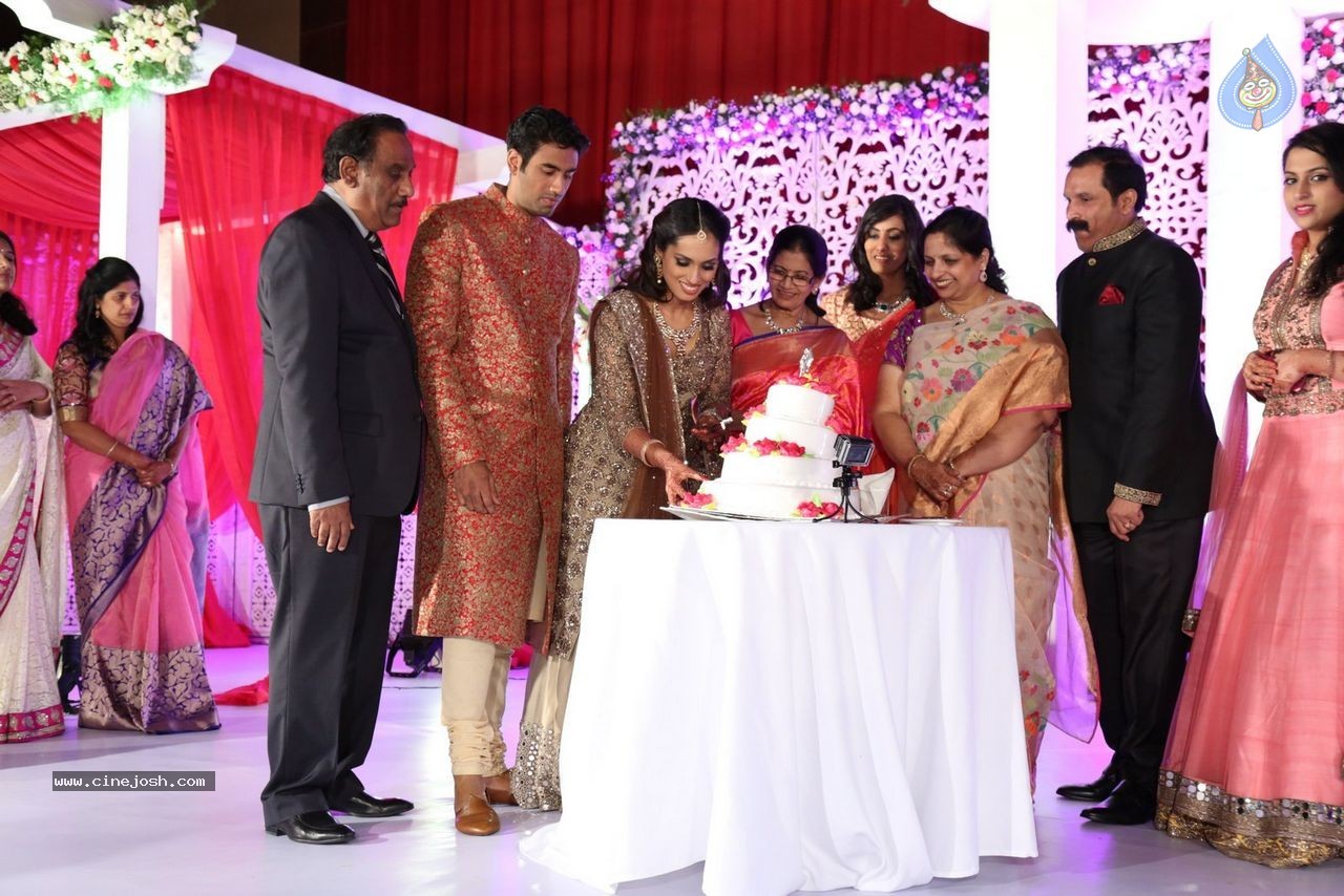 Sunil and Leela Wedding Reception - 93 / 96 photos