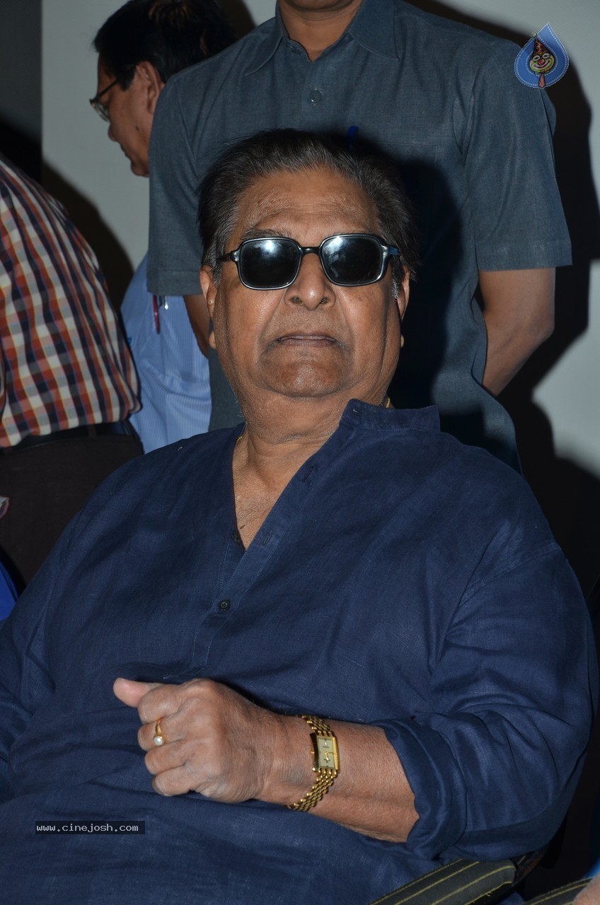 SV Ranga Rao Samagra Cine Jeevitham Book Launch - 131 / 195 photos