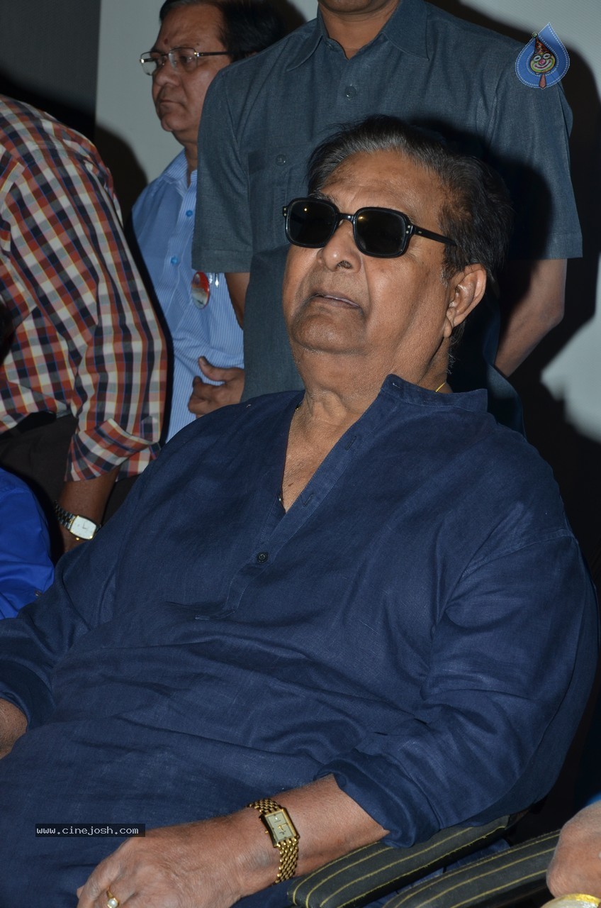 SV Ranga Rao Samagra Cine Jeevitham Book Launch - 146 / 195 photos