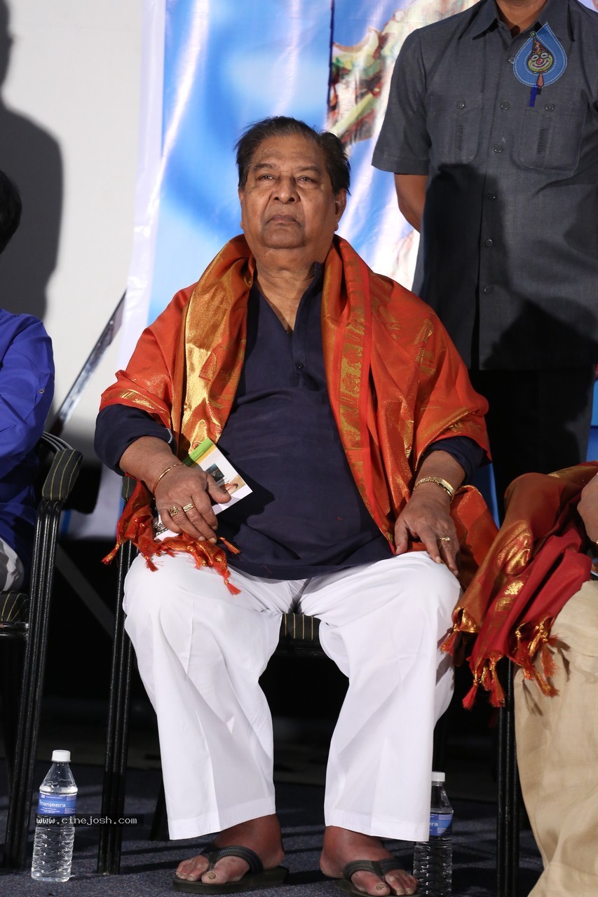 SV Ranga Rao Samagra Cine Jeevitham Book Launch - 194 / 195 photos