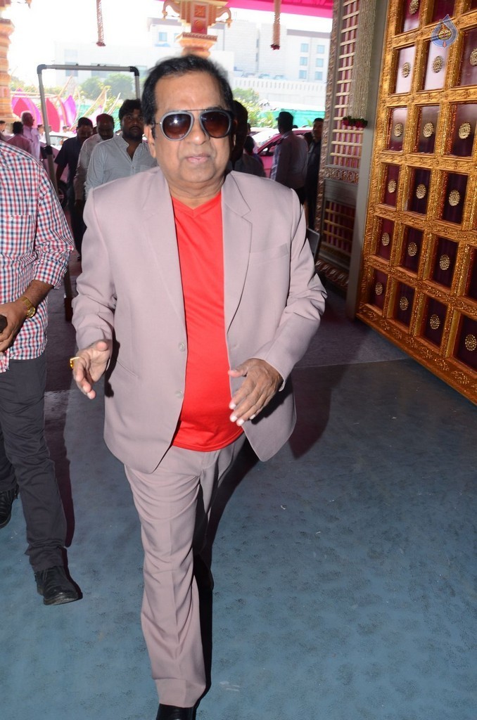 T. Subbarami Reddy Grandson Keshav Wedding Photos 3 - 7 / 79 photos