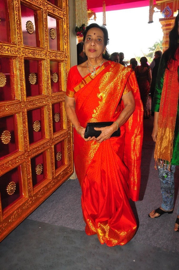 T. Subbarami Reddy Grandson Keshav Wedding Photos 5 - 24 / 125 photos