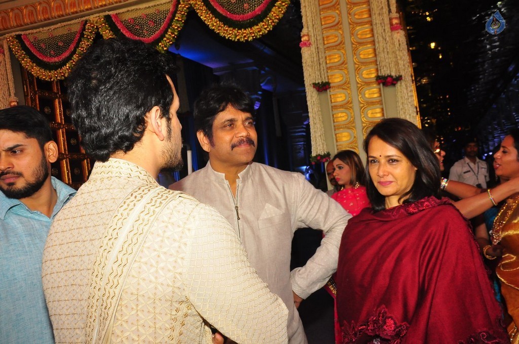 T. Subbarami Reddy Grandson Keshav Wedding Photos 5 - 54 / 125 photos