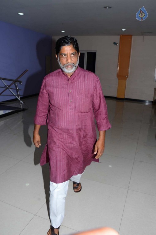 T Congress Leaders Watches Rudramadevi Movie - 24 / 33 photos