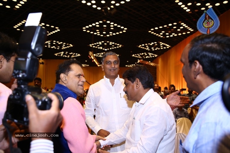 T Subbarami Reddy Grandson Anirudh Wedding Photos - 16 / 76 photos