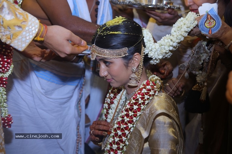 T Subbarami Reddy Grandson Anirudh Wedding Photos - 18 / 76 photos