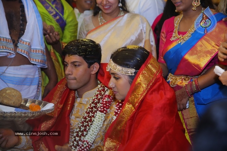 T Subbarami Reddy Grandson Anirudh Wedding Photos - 29 / 76 photos