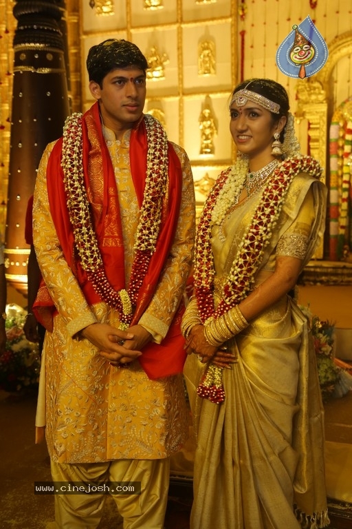 T Subbarami Reddy Grandson Anirudh Wedding Photos - 30 / 76 photos