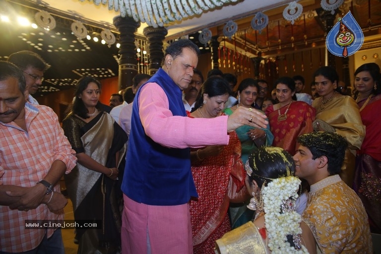 T Subbarami Reddy Grandson Anirudh Wedding Photos - 45 / 76 photos