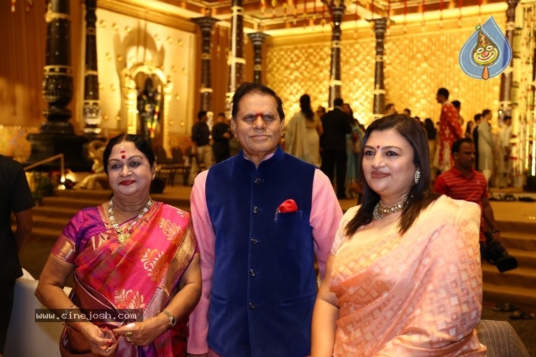 T Subbarami Reddy Grandson Anirudh Wedding Photos - 46 / 76 photos