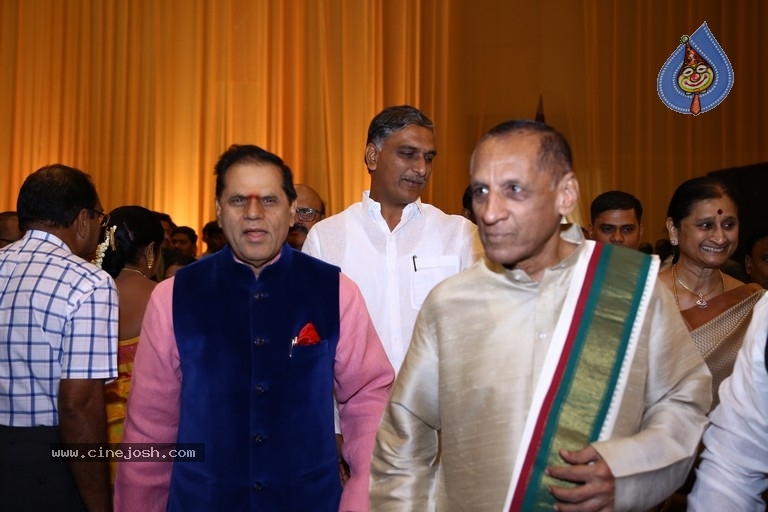 T Subbarami Reddy Grandson Anirudh Wedding Photos - 48 / 76 photos