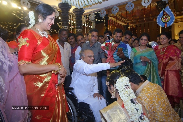 T Subbarami Reddy Grandson Anirudh Wedding Photos - 65 / 76 photos