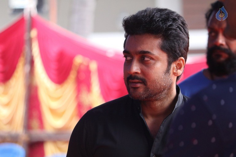 Tamil Stars at Jallikattu Hunger Strike - 7 / 51 photos