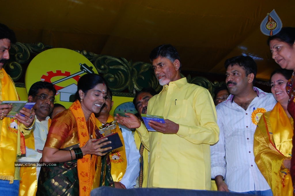 TDP Mahanadu 2013 Photos - 2 / 150 photos