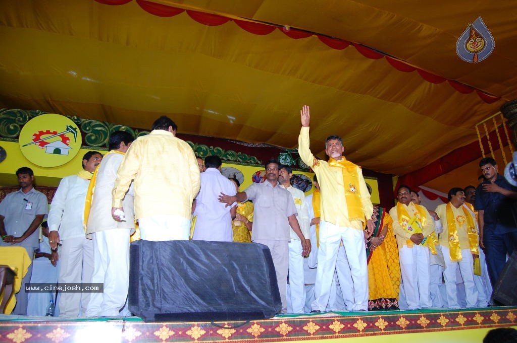 TDP Mahanadu 2013 Photos - 18 / 150 photos