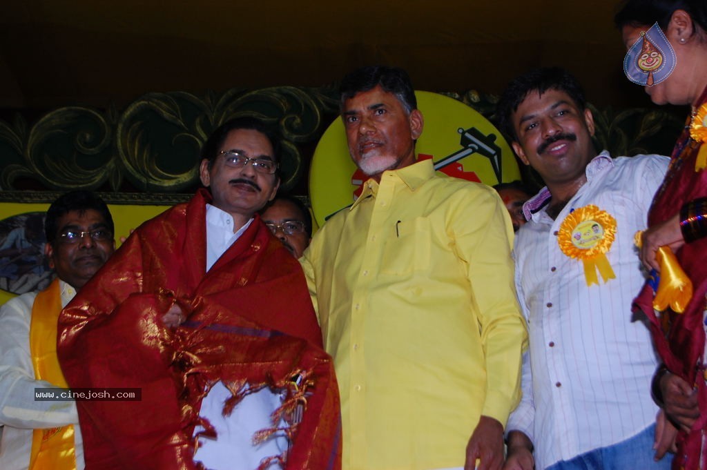 TDP Mahanadu 2013 Photos - 23 / 150 photos