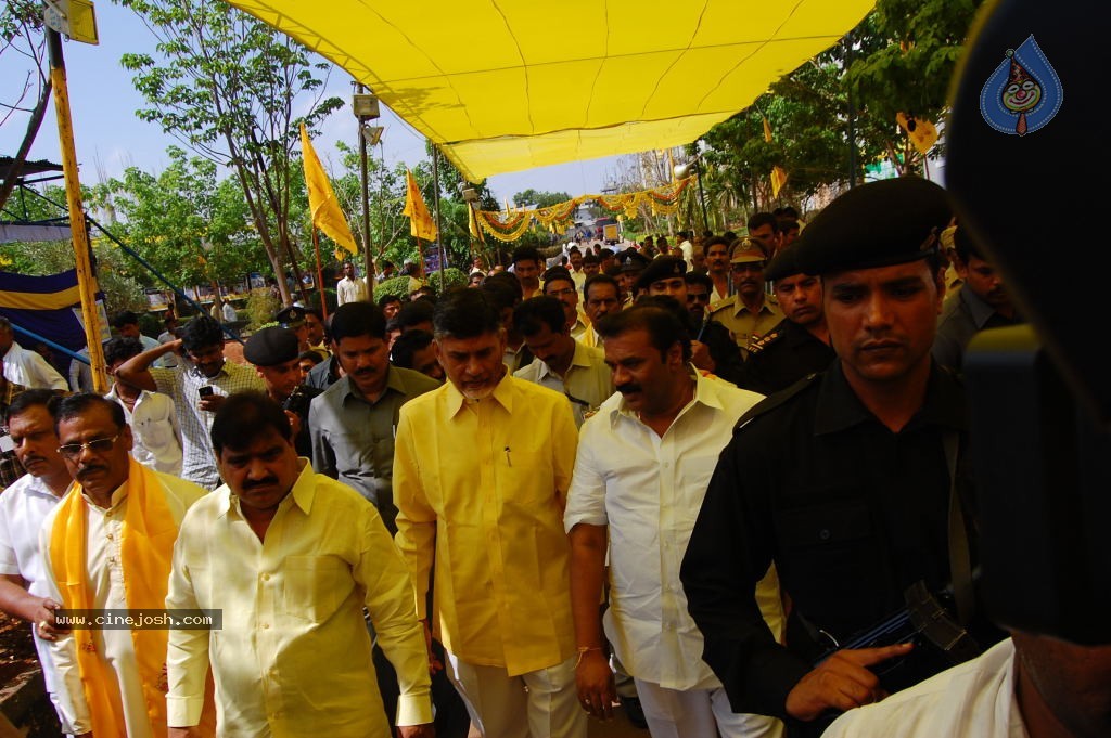 TDP Mahanadu 2013 Photos - 30 / 150 photos