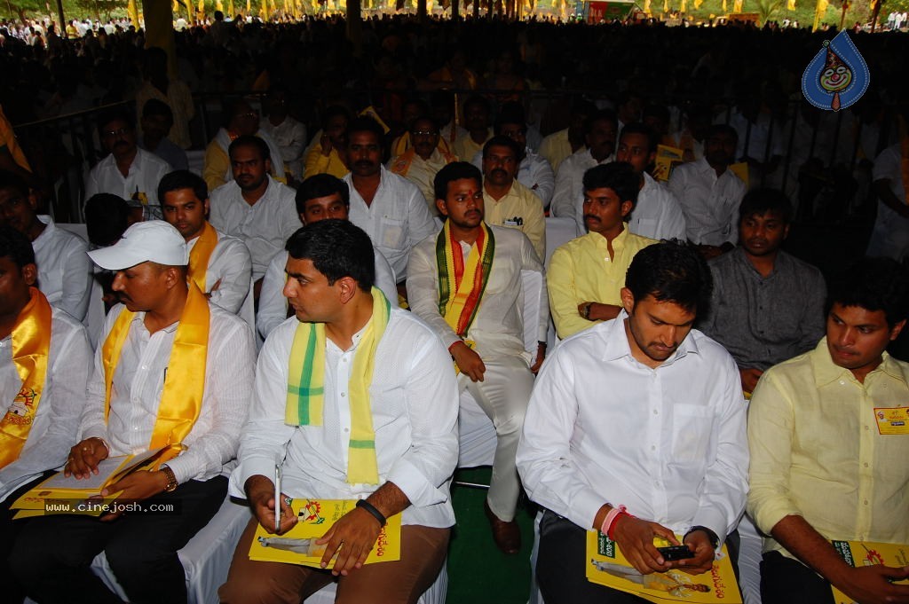 TDP Mahanadu 2013 Photos - 37 / 150 photos