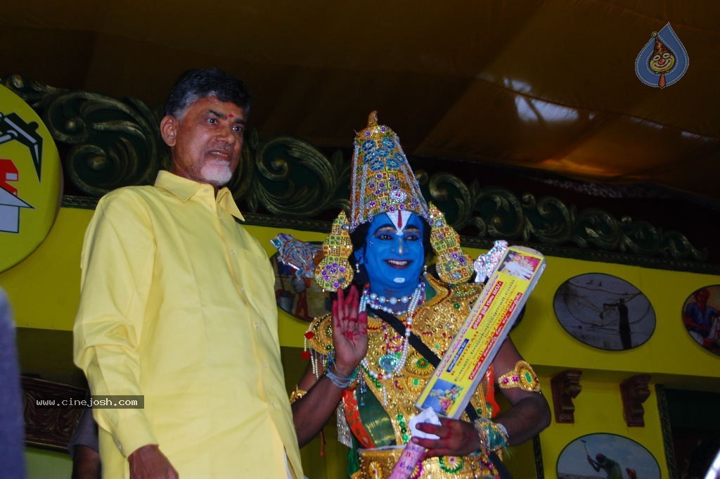 TDP Mahanadu 2013 Photos - 38 / 150 photos