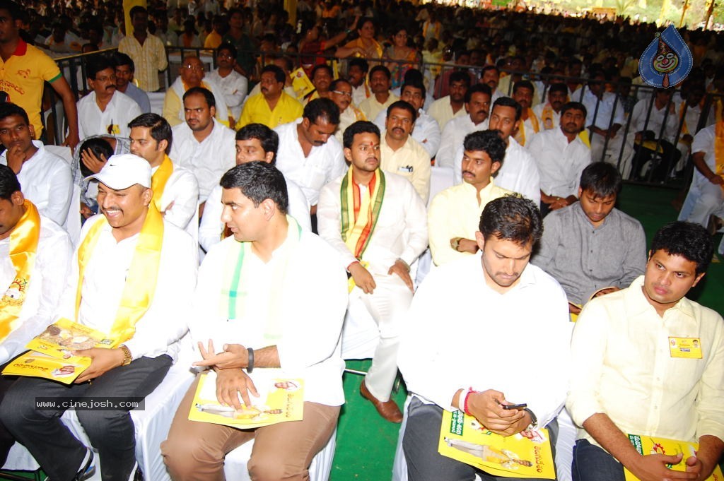 TDP Mahanadu 2013 Photos - 53 / 150 photos