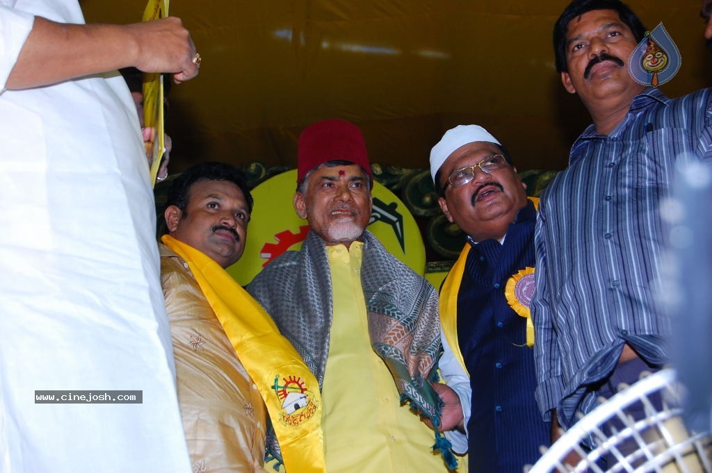 TDP Mahanadu 2013 Photos - 64 / 150 photos