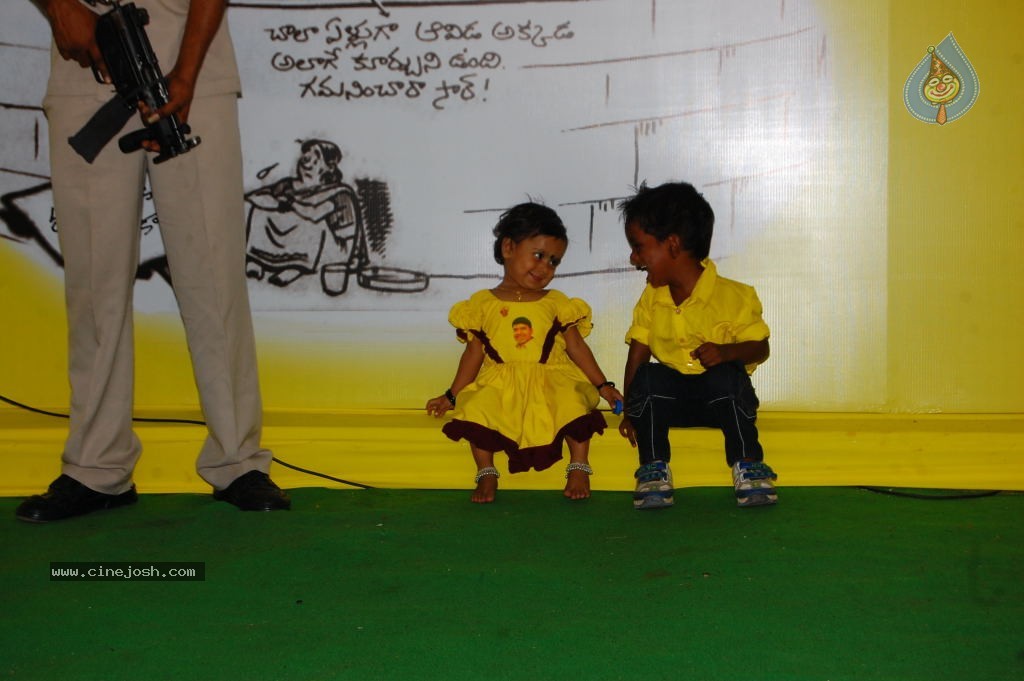 TDP Mahanadu 2013 Photos - 84 / 150 photos