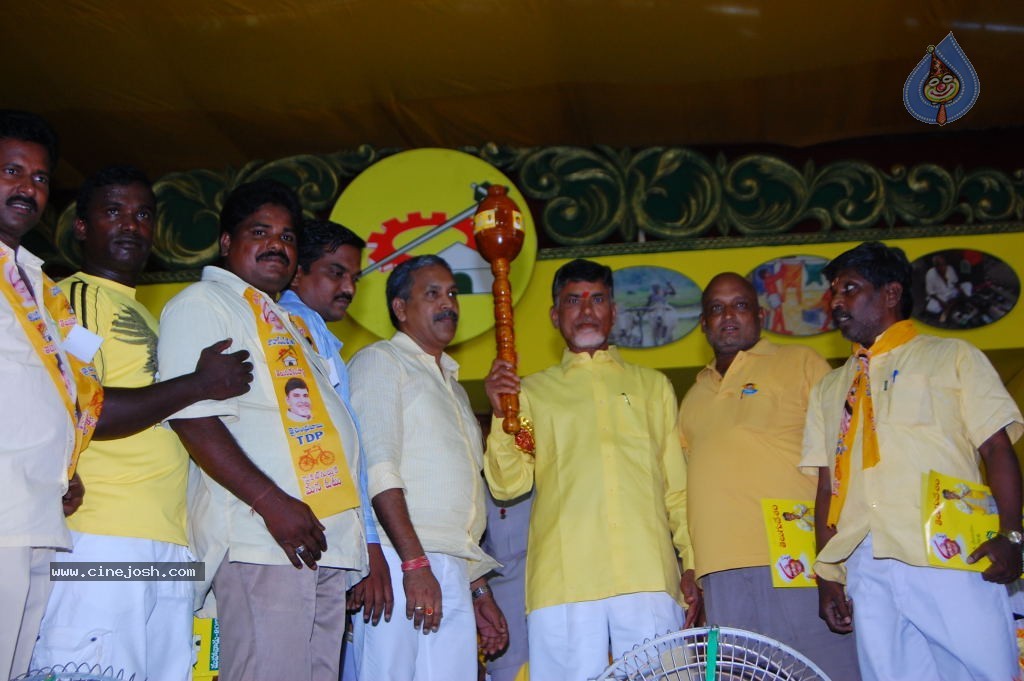TDP Mahanadu 2013 Photos - 85 / 150 photos