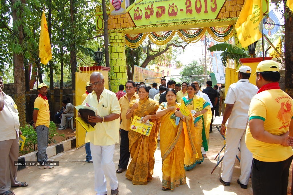 TDP Mahanadu 2013 Photos - 86 / 150 photos