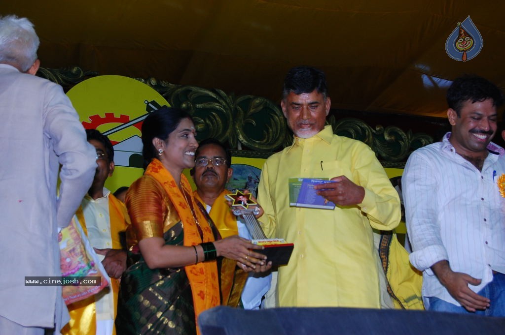 TDP Mahanadu 2013 Photos - 87 / 150 photos