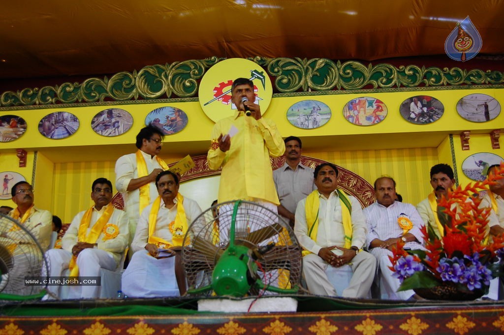 TDP Mahanadu 2013 Photos - 88 / 150 photos